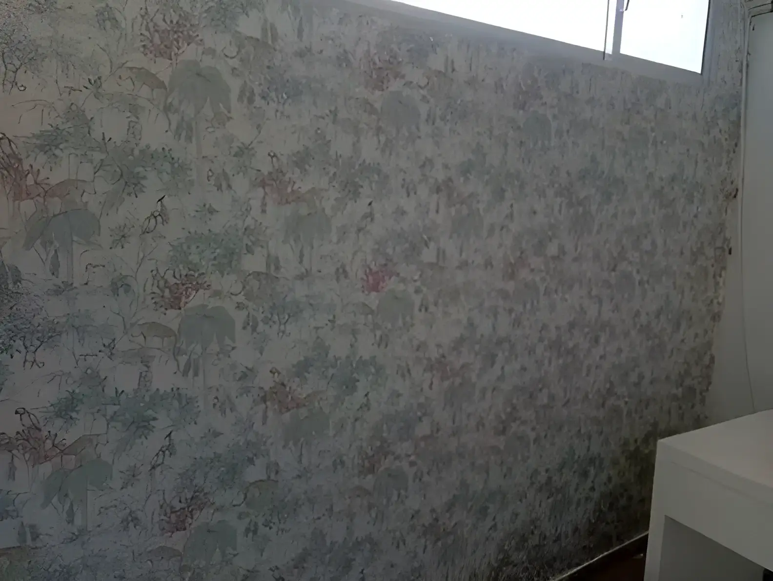 Los Pintores Albacete colocando papel pintado decorativo en pared completa de habitación